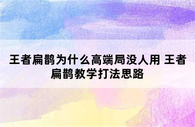 王者扁鹊为什么高端局没人用 王者扁鹊教学打法思路